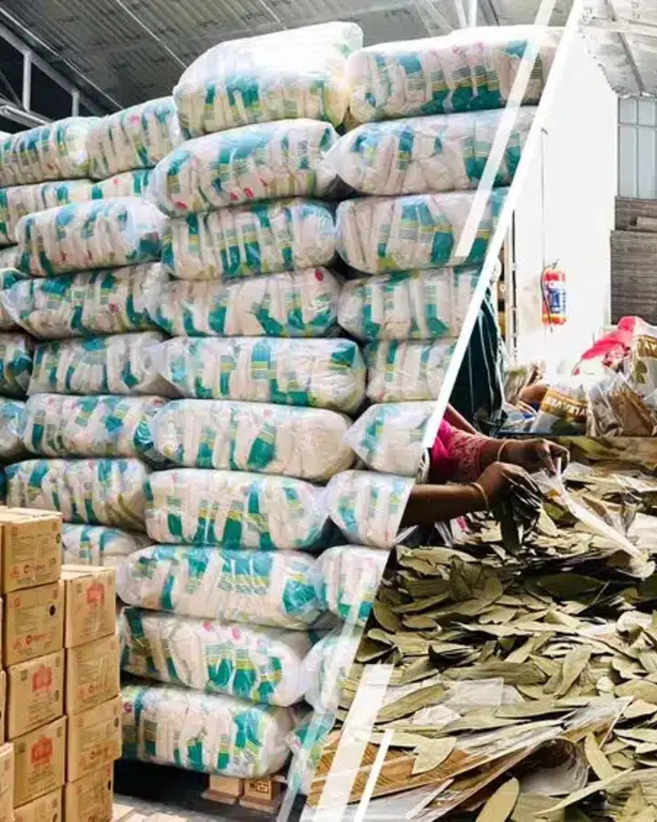 Stacked sacks and cartons beside workers sorting bay leaves in the Agroverse factory