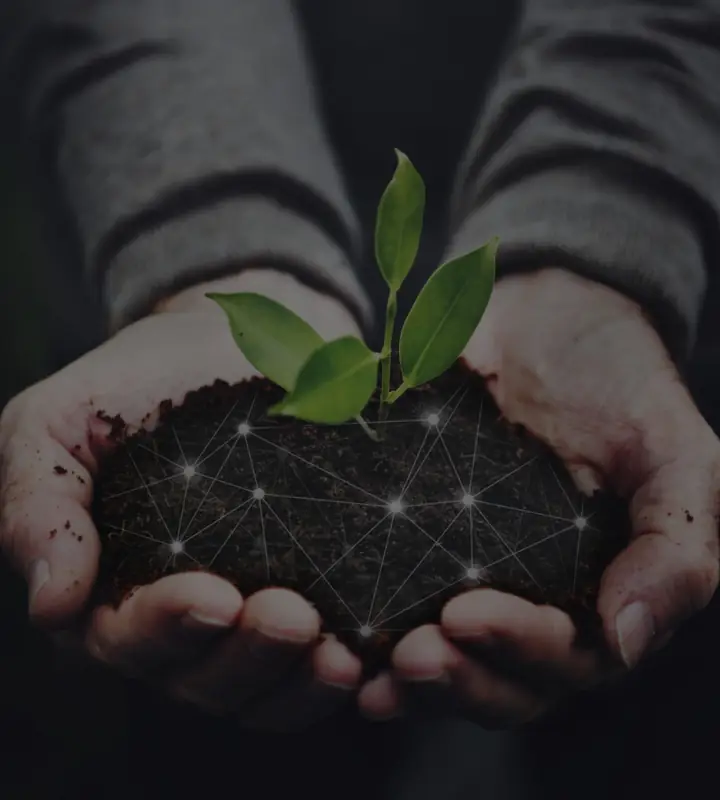 Two hands holding a handful of soil with a young plant growing from it