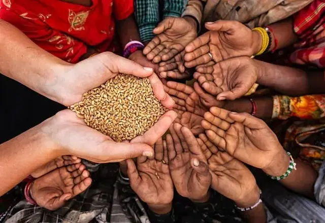 Open hands sharing a handful of grain