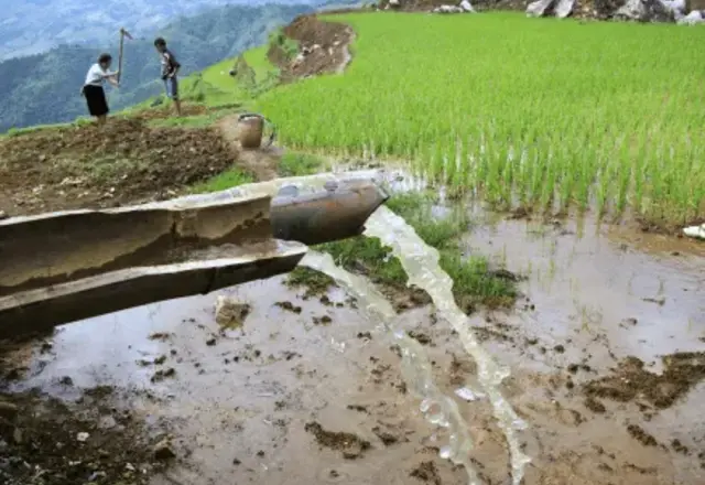 Water flowing into green rice terraces
